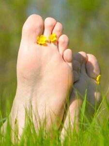 Eco-Friendly Native Grass Lawns Image